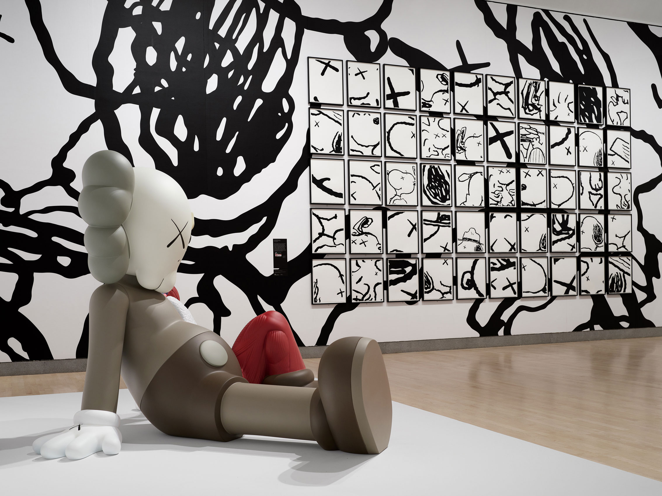 Kaws_2_16_2021_0580